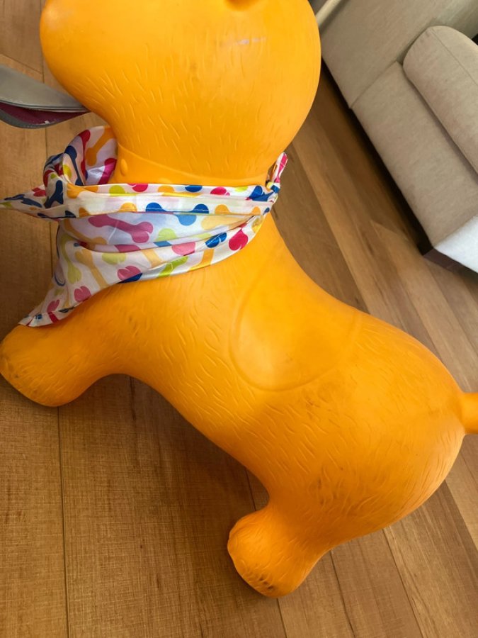 Illustration de Chien sauteur