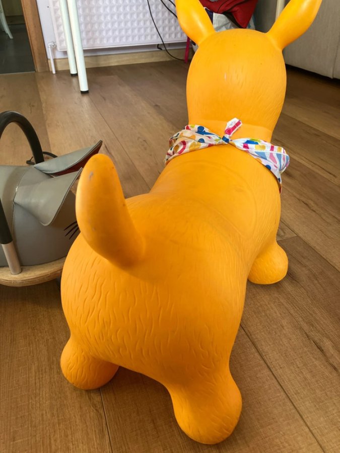 Illustration de Chien sauteur