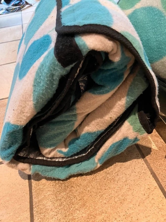 Illustration de Couverture de pique nique