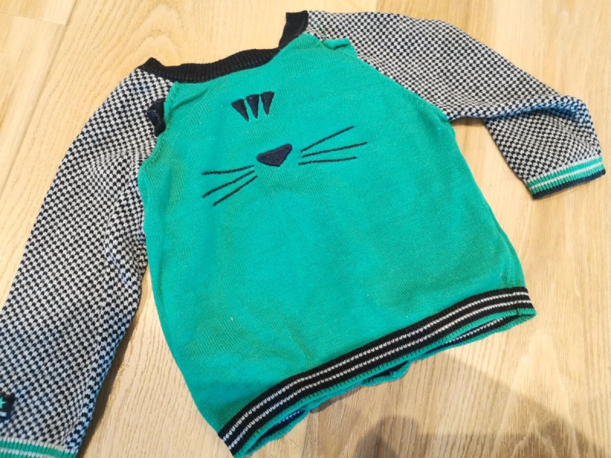 Illustration de Gilet 74cm