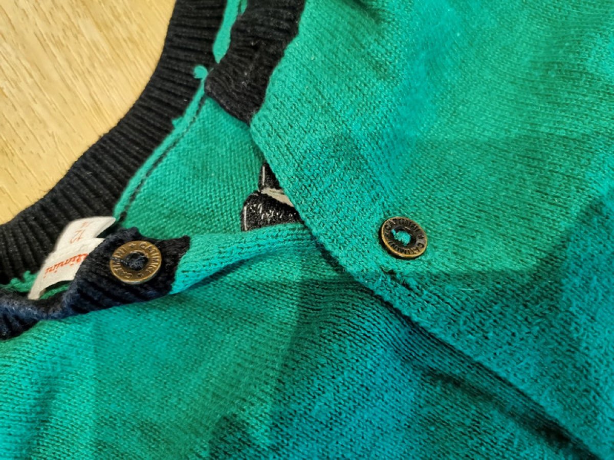 Illustration de Gilet 74cm