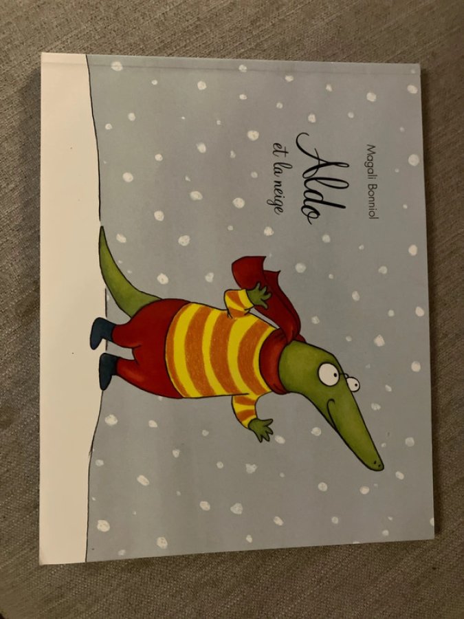 Illustration de Aldo et la neige