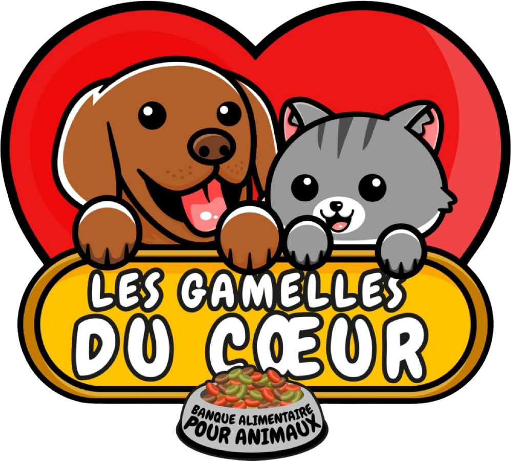 Image Recherche bénévoles