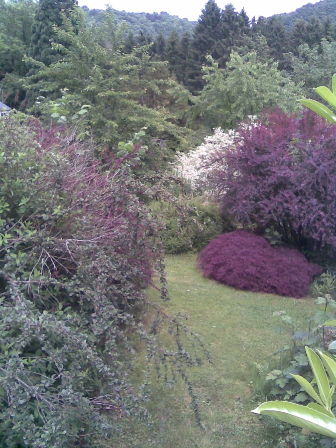 Image Aide au jardin