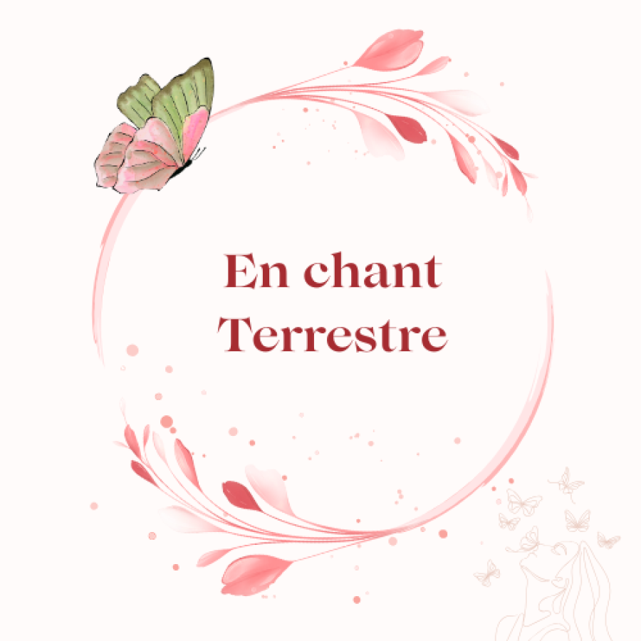 Image Accompagnement individuel en ligne